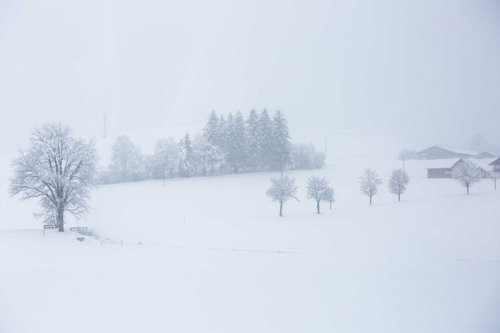 冬季风雪摄影图片