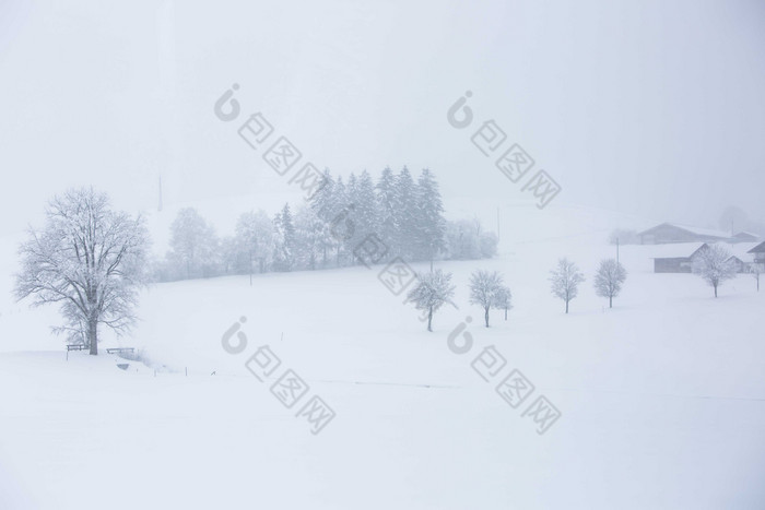冬季风雪摄影图片