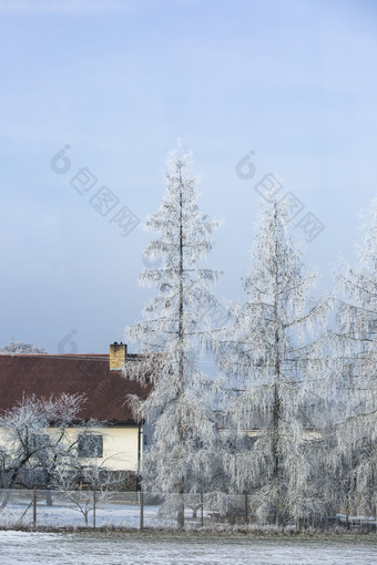 冬日雪景小屋庭院