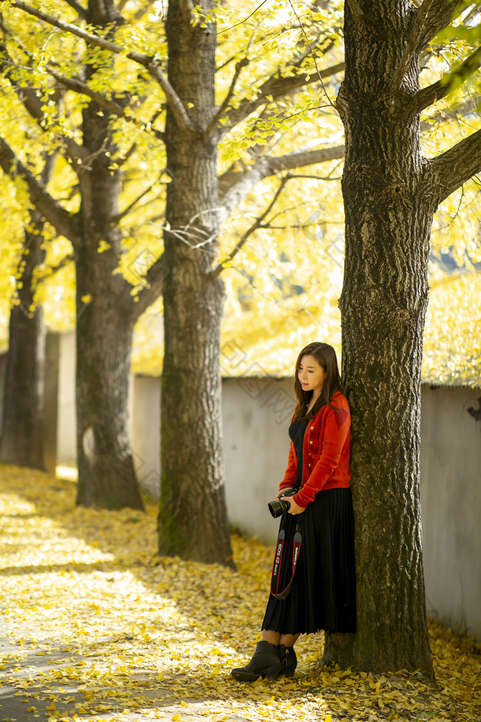 倚靠在银杏树下拿着相机的美女