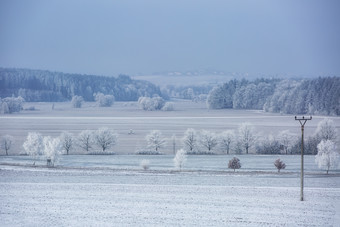 冬日<strong>雪地</strong>风光一览