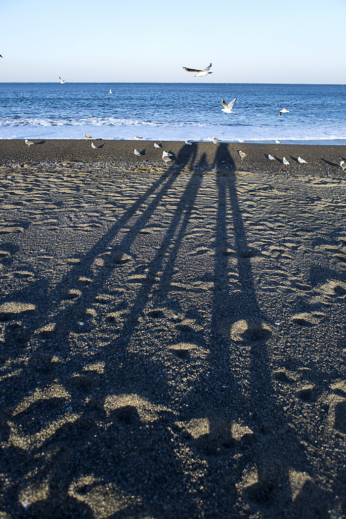 一家三口在沙滩边上牵手的影子