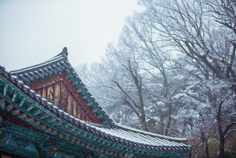 传统建筑下雪森林