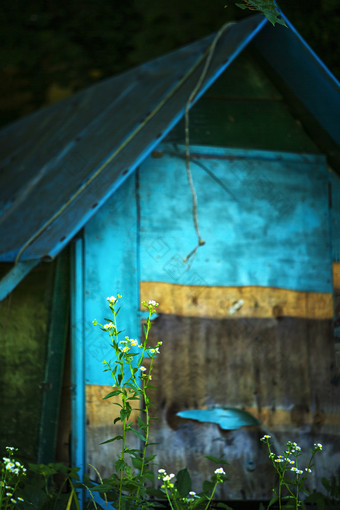 蓝色房子复古建筑小花