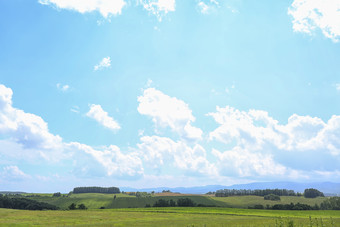 晴天蓝天白云下的草地摄影图