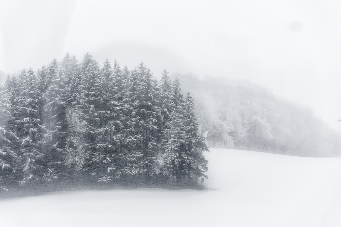 大雪迷雾中的森林雪景