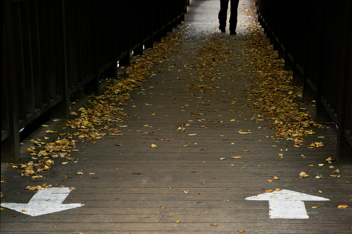 飘满了落叶的木廊桥和路标