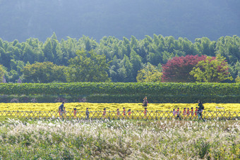 老师带着<strong>一群</strong>小朋友春游