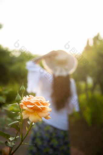 花和少女唯美图片