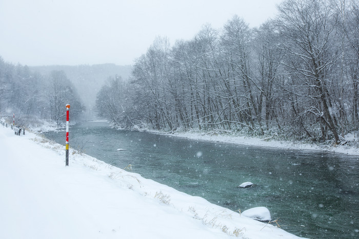 冬天下雪天河流森林