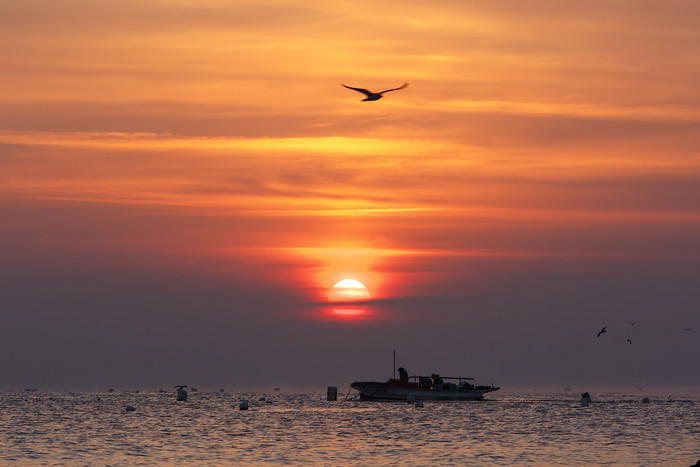 海平面落日夕阳海岛渔船海鸥