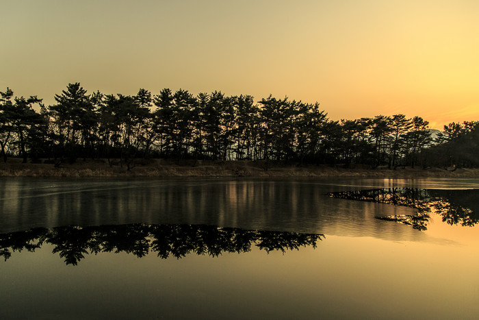 黄昏时金色的湖泊和树的倒影