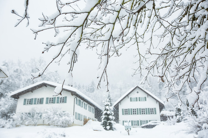 寒冷冬季积满雪花的树枝和乡村小屋