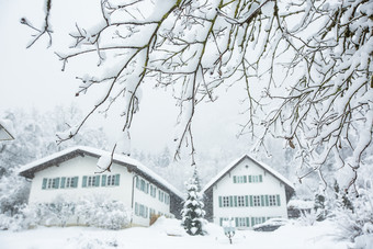 寒冷冬季积满雪花<strong>的</strong>树枝和乡村小屋