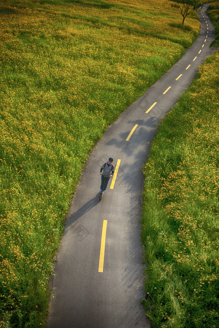 草丛包围的公路延伸