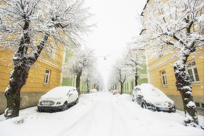 寒冷冬季和积雪的树汽车以及房屋