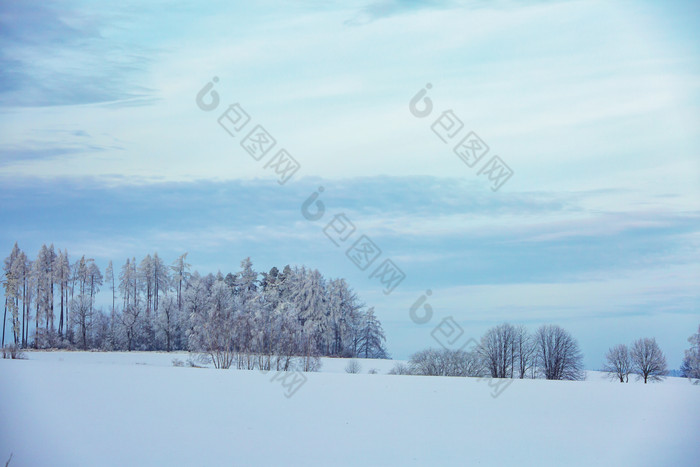 雪地漫漫山坡树木天空图