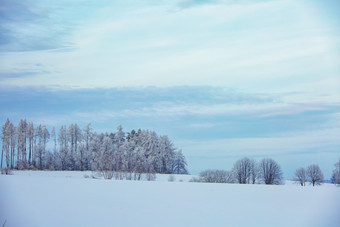 <strong>雪地</strong>漫漫山坡树木天空图