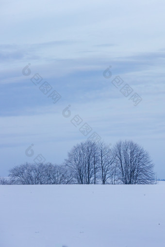 雪地漫漫山坡树木天空竖图