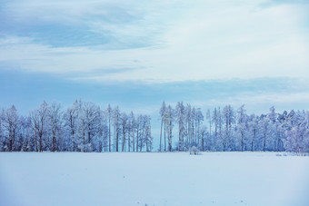 雪地漫漫<strong>山坡</strong>树木整条图