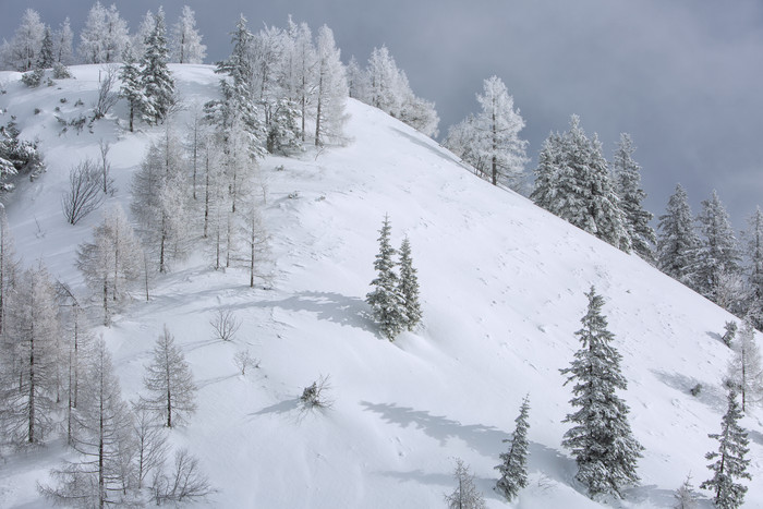 积雪的山坡