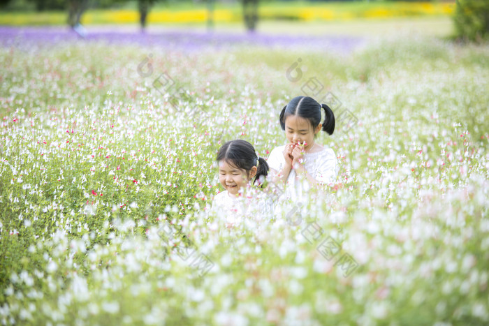 花丛中的小姐妹们