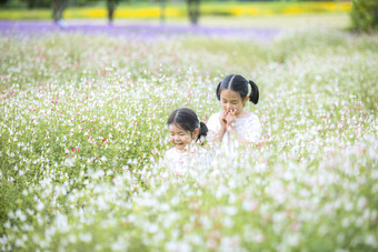 <strong>花</strong>丛中的小姐妹们