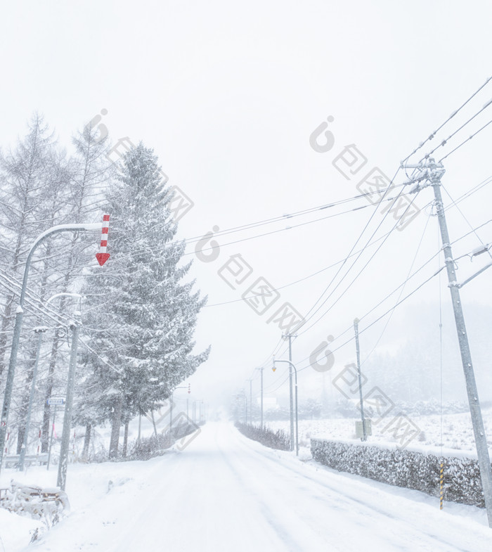 雪地公路两旁对树和电线杆