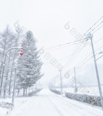 雪地<strong>公路</strong>两旁对树和电线杆
