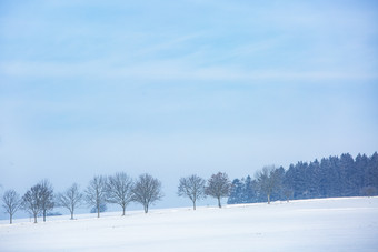 白茫茫的雪地森林道路静谧