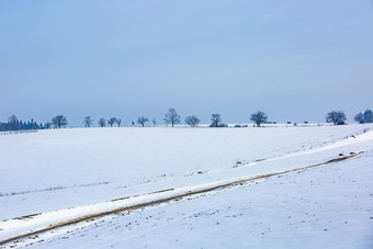 白茫茫的<strong>雪地森林</strong>道路雪道