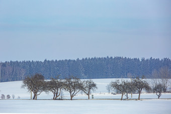 白茫茫的<strong>雪地</strong>中进入<strong>森林</strong>之前