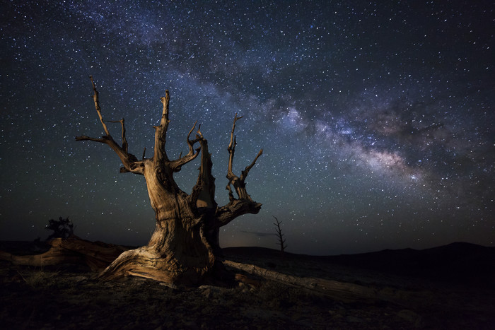 峡谷荒木星空摄影插图