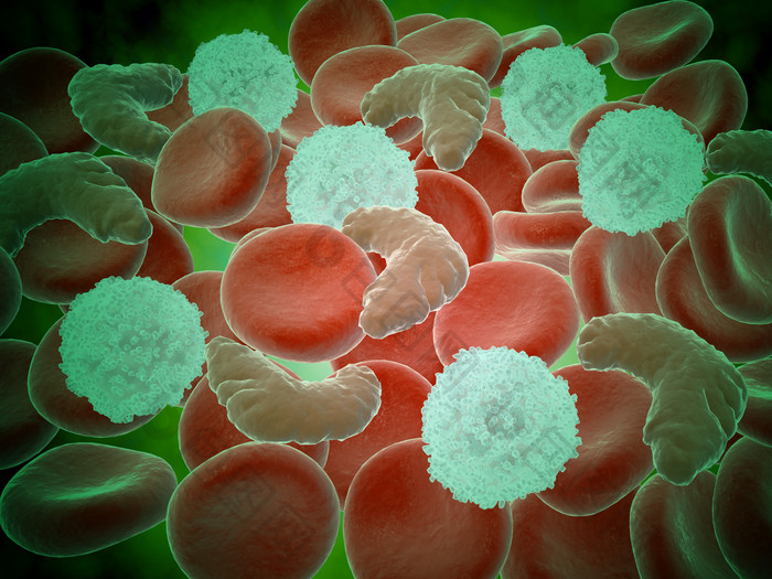 血液血红蛋白细胞活动示例图