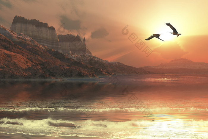 海边海鸥日落风景插图