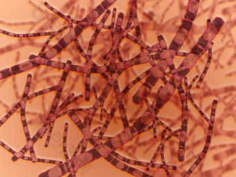 微生物细菌细胞示例图