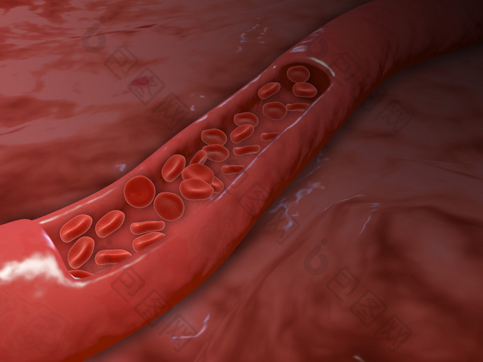 血小板细胞示例插图
