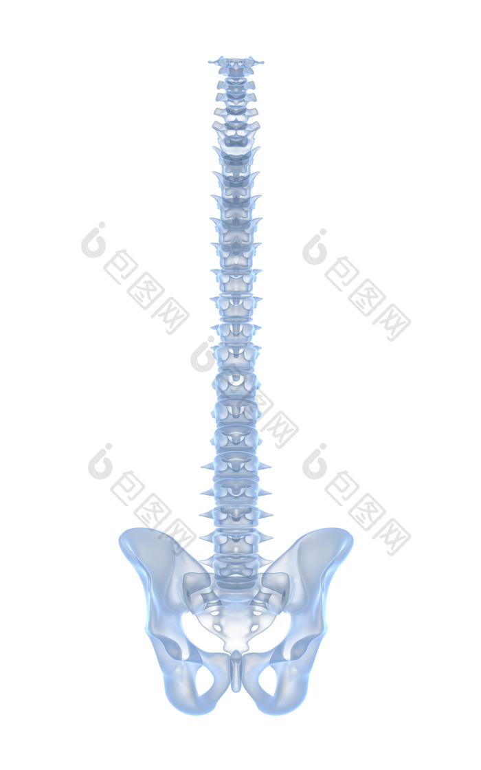蓝色脊椎骨头摄影图