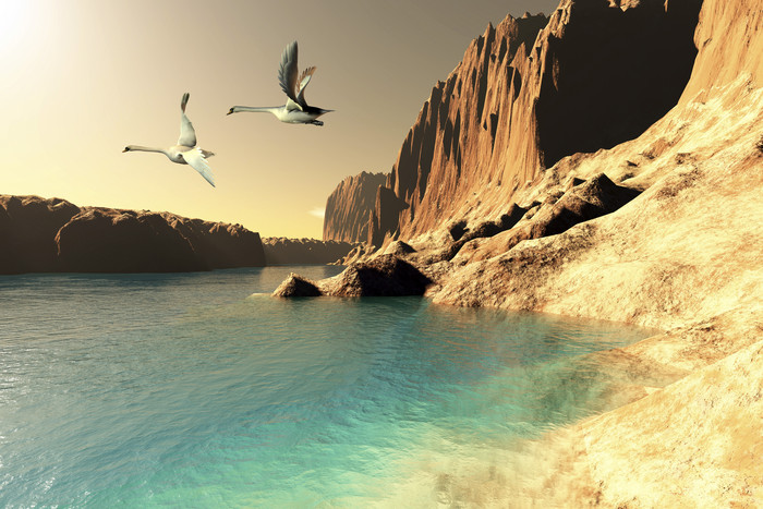 海滩礁石风景插图