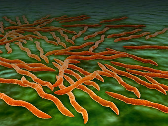 微生物病原体分子示例图