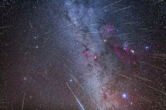 双子座猎户座小天狼星