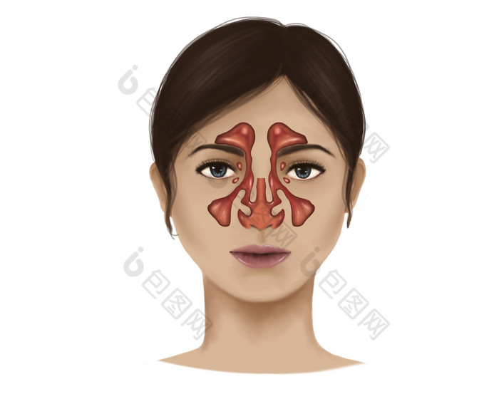 呼吸鼻腔骨骼示例插图