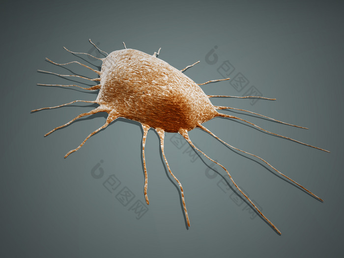 微生物病理细胞示例图