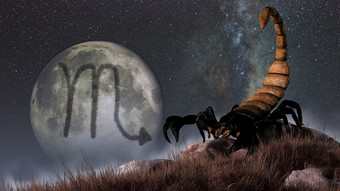 月亮下<strong>的</strong>蝎子摄影图