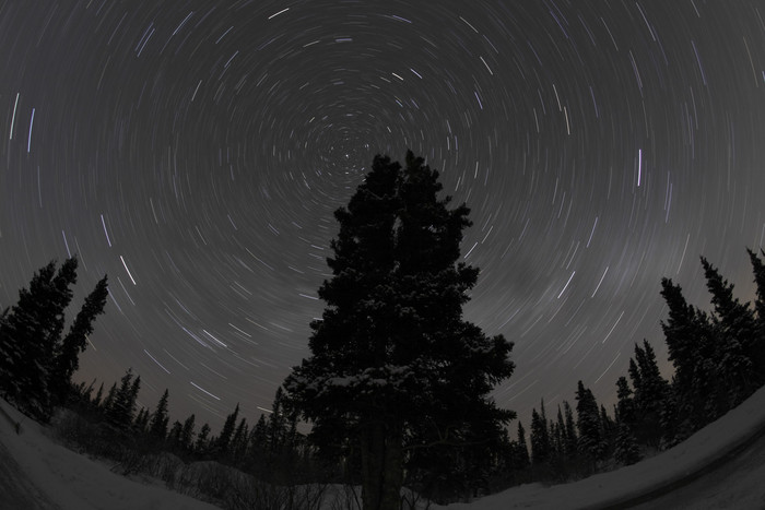 丛林里的星空摄影风景图