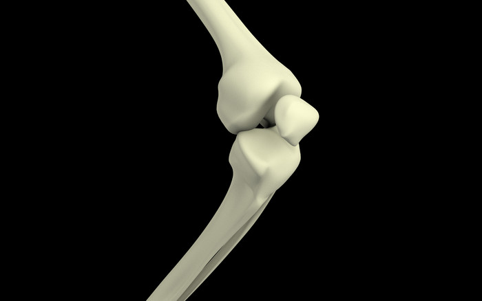 人体膝盖弯曲骨骼结构插图