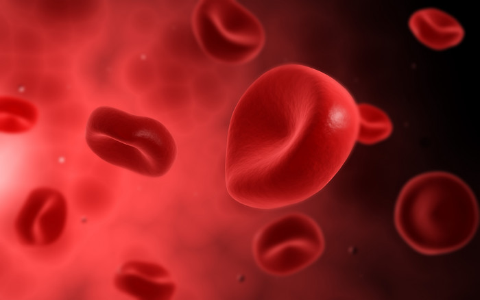 血红细胞质示例插图