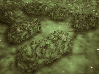 微生物<strong>杆菌</strong>细胞示例插图