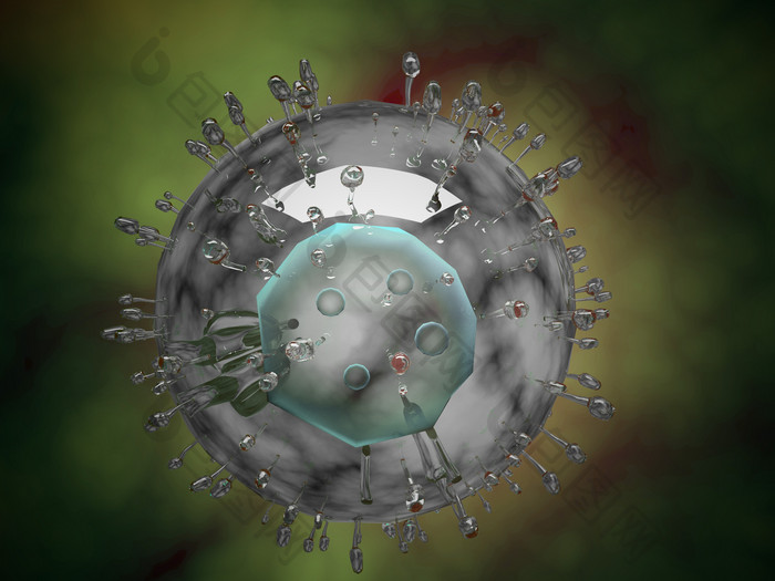 病毒细胞质示例插图