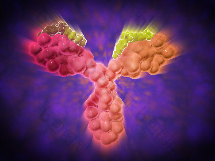 细菌蛋白质细胞示例图